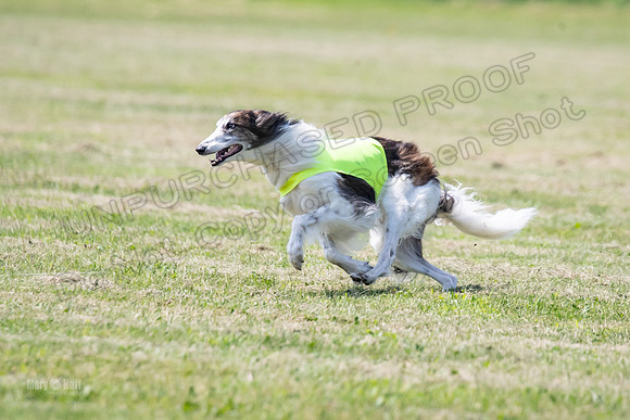 Finals Finnegan-0114