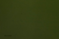 Cat Test 1-0232