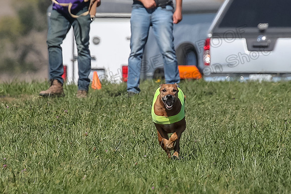 2 Finals Vet 1 Zayin Xena-8066