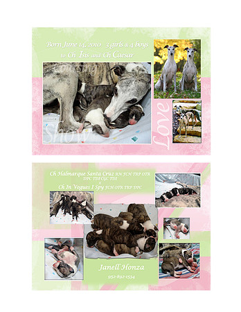 Honza Birth Announcement