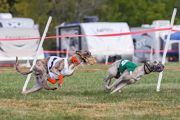 Prg 1, race 7, Cutter Dazzle Mika Rory-0715