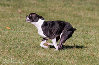 IMG_1322
