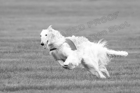 Open Prelim Bluegene Rhett Zen-0496-2
