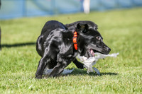 AE4I5861