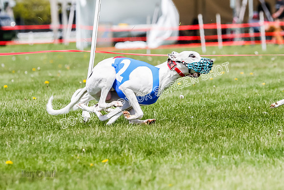 NOTRA Program 3, Race 3, Eddie Elvis Picanha Coyote-2-23