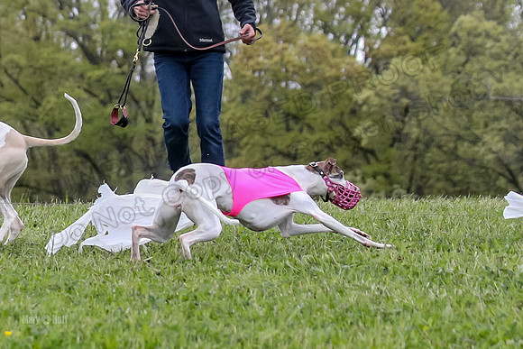 Finals Open D4, Roo Shroom Torque-0933