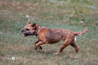 IMG_8662
