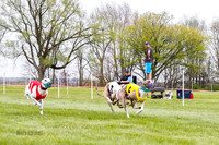WRA, Prg 4, Race 1, Dash, Elvis Mika Buzzsaw Moonstruck-9276