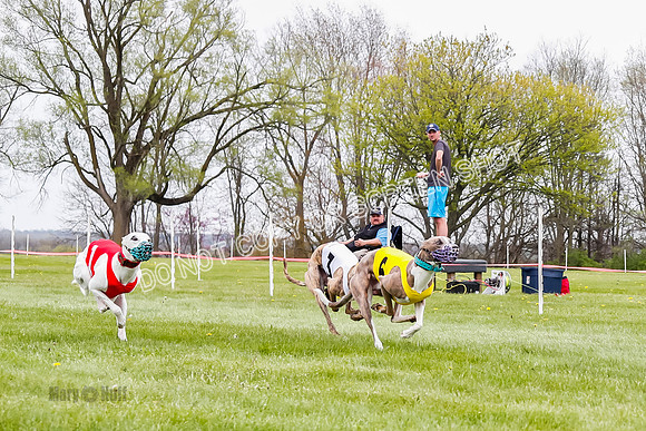 WRA, Prg 4, Race 1, Dash, Elvis Mika Buzzsaw Moonstruck-9276