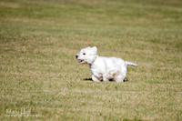 IMG_1304