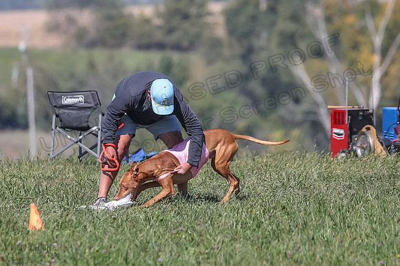 2 Finals Fch Jasper Calyber-7216