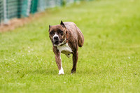 MCH71173