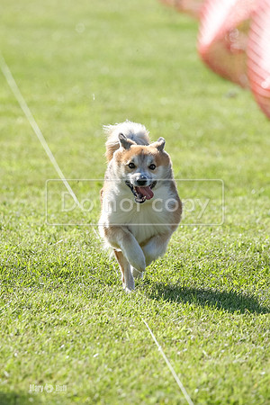 MCH59977