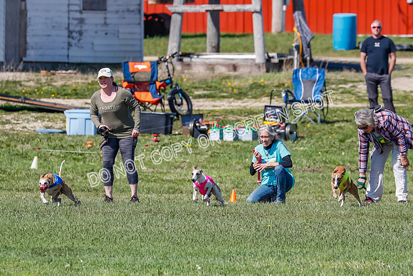 Prelim, Rocky Shimmy Zed-2395