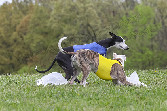 Finals Open G4, Lzzy Bumble Mystic-1648