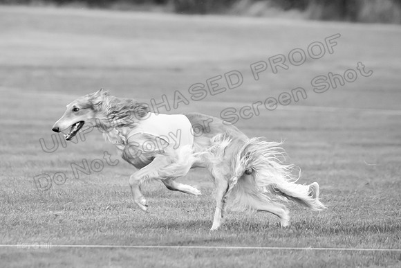 Open Prelim 2, Masquerade Freebie-0539-2