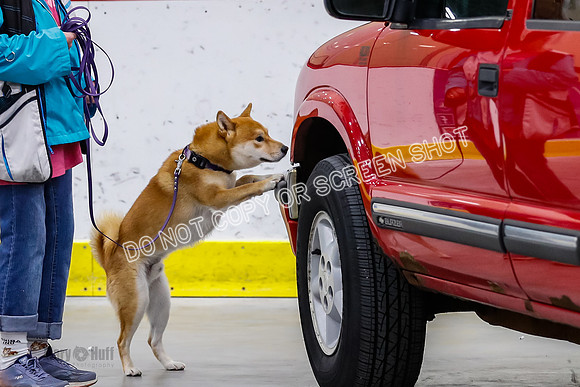 L1 Vehicle-6484