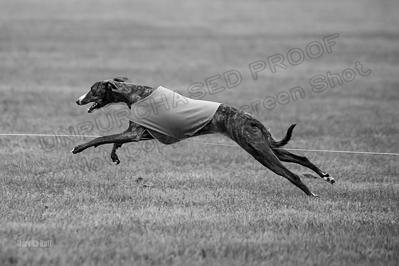 Prelims Lena-0773-2