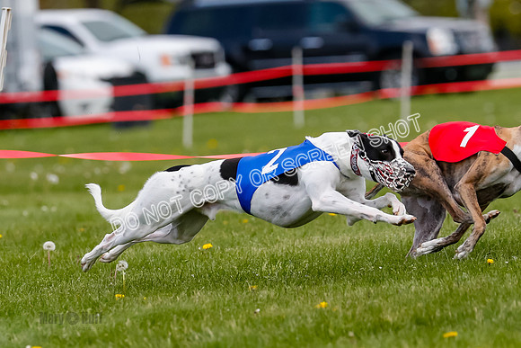 NOTRA Program 3, Race 1, Watson Scooter Barley Warrior-2-9