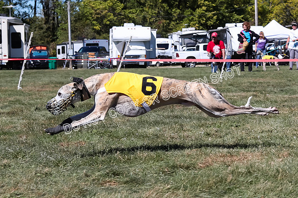 Prg 3, Race 3, Flynn Warrior Clyps Rigby Echo Arrow-9618