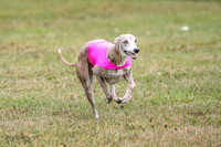 1 Prelims Open 1 AnnieOakley Fennec Zero-1249