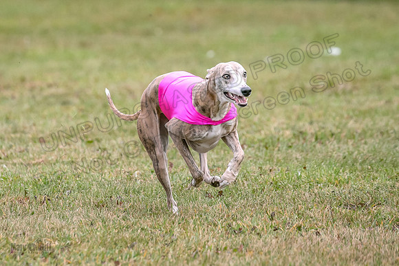 1 Prelims Open 1 AnnieOakley Fennec Zero-1249