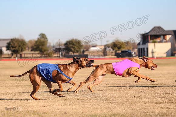 1Prelims Spec 1 Ash Zoey Zanna-9642