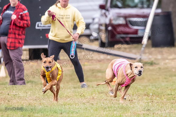 Finals Vet Libby Xena-2488