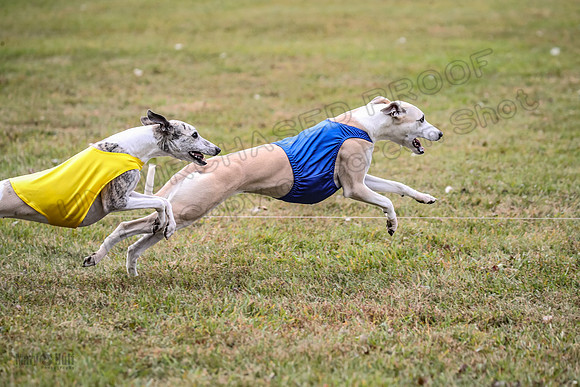 1 Prelims Open 1 AnnieOakley Fennec Zero-1261