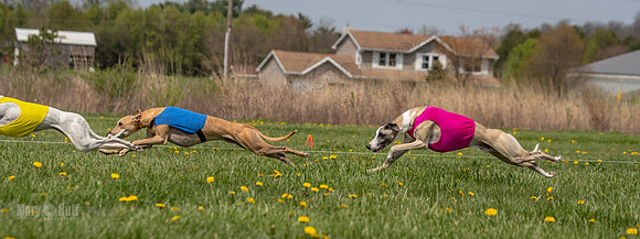 Finals Specials B2 PeteySue Frankie Rush-4614