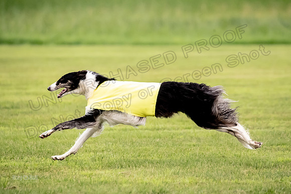 Open Prelim 2, Masquerade Freebie-0547
