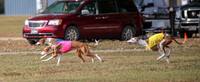 1 Prelims Fch 2 Jadis Beastie Ginny-0761