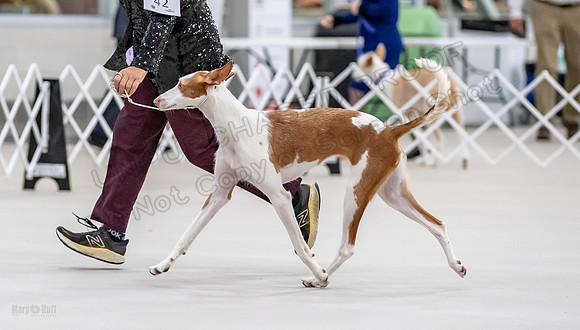 AE4I6423