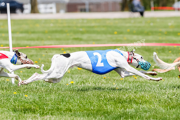 NOTRA Program 3, Race 3, Eddie Elvis Picanha Coyote-2-33