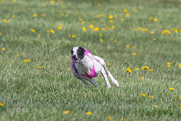 1Prelims Specials B6 Mantle PeteySue Echo-1572