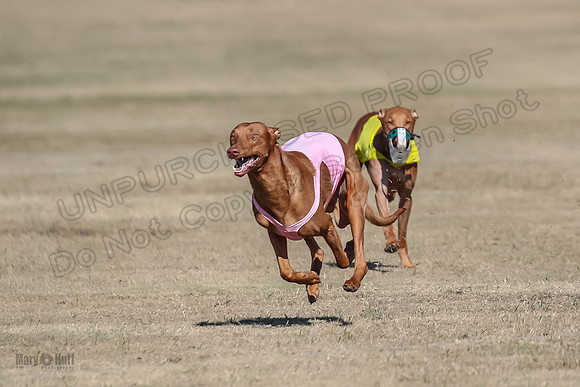 Finals Spec 1 Tango Cayber-1790