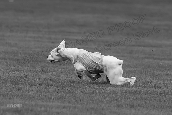 Prelims Nilla-0888-2