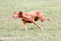 IMG_0967