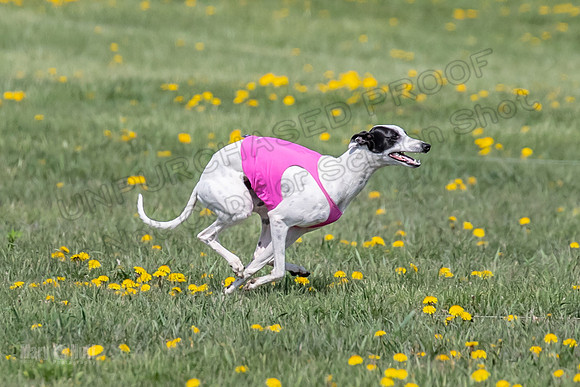 1Prelims Specials B6 Mantle PeteySue Echo-1588