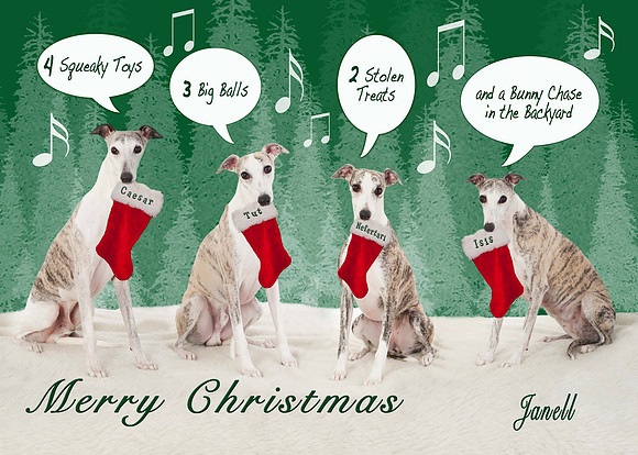 Honza 2013 Christmas Card