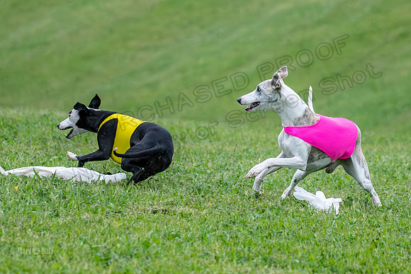 Prelims Open A2, Poppy Mateo Misty-3251