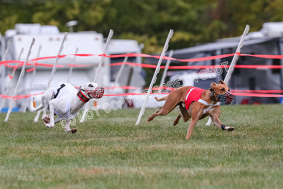 Prg 1, race 10, Bobo Piper Elvis Grit-0804