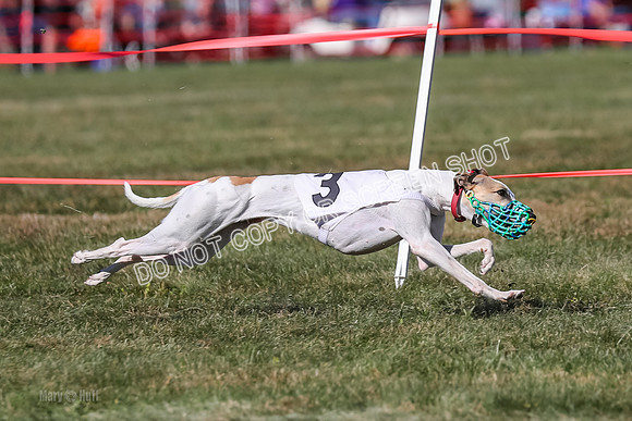 Prg 4, Race 12, Snacks Coty Ryka Stone-2745