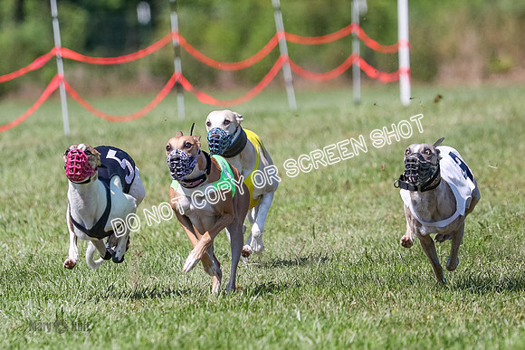 AE4I9005