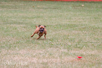 IMG_0203