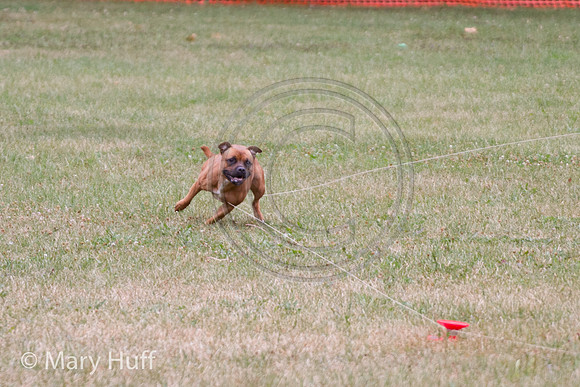 IMG_0203