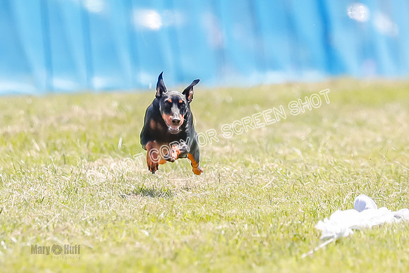 _E4I2675
