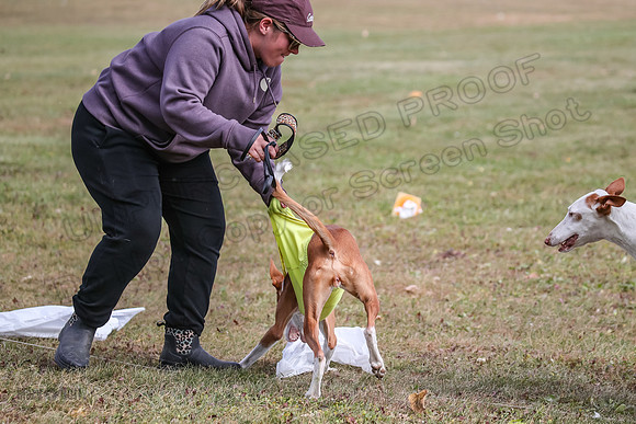 Finals Fch 1 Beastie Jadis Ginny-7919