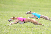 Prelim Specials A2, Laina Mantle Sassy-9631