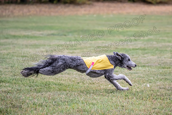 1 Prelims Pepper-1914